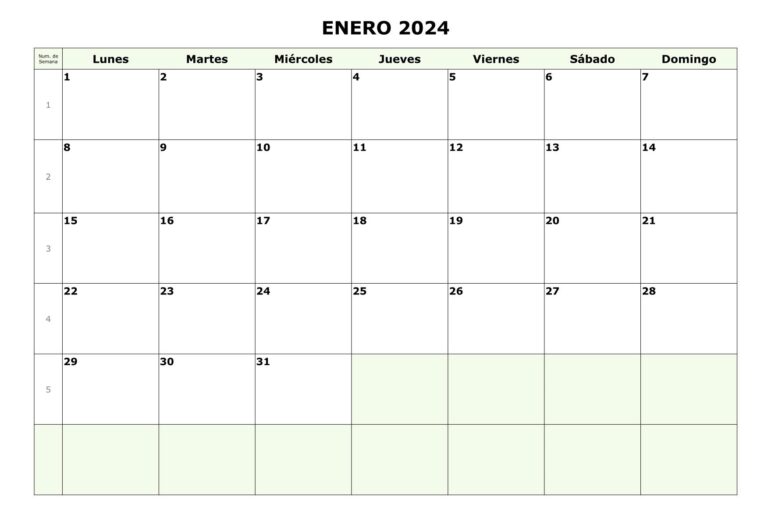 Calendario Enero 2024 Chile PDF